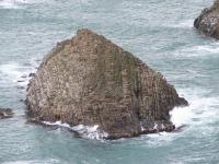 Albums/20060200-New Zealand 2006/20060313-Catlins/74